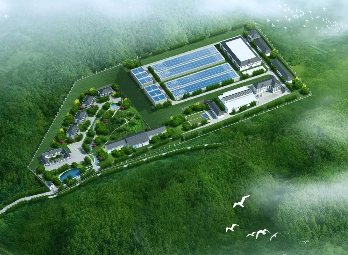 油水分离器：环保与高效并行，助力工业发展新未来